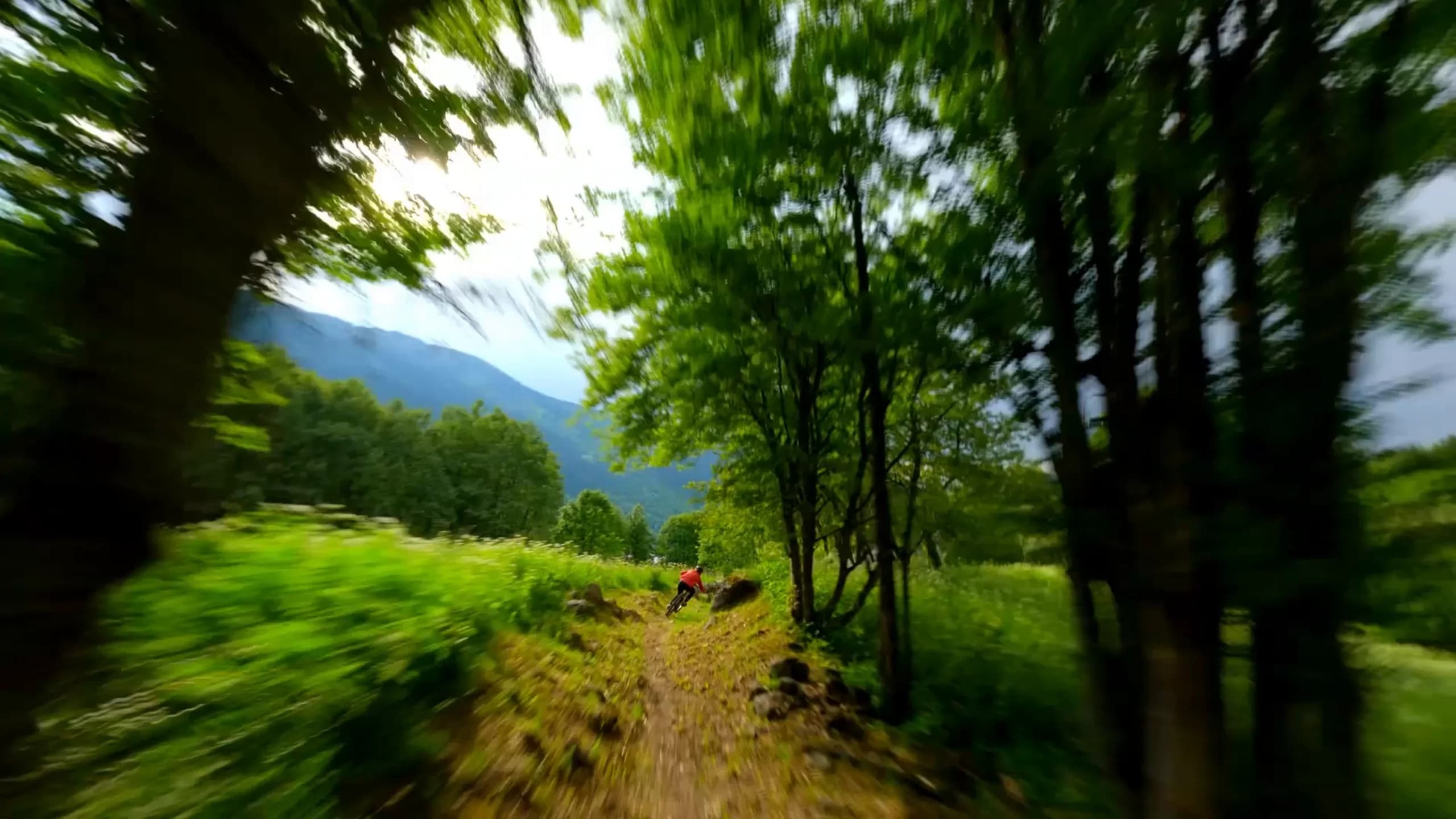Les montagnes de Méribel en été
